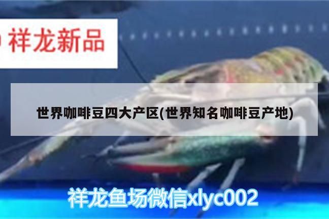 世界咖啡豆四大產區(世界知名咖啡豆產地)