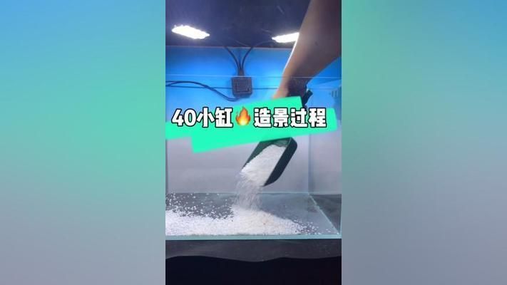 40厘米魚缸造景教學視頻：40厘米魚缸造景教學視頻教學視頻教學視頻教程