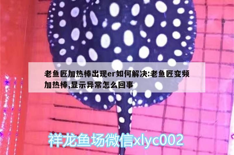 老魚匠加熱棒出現er如何解決:老魚匠變頻加熱棒,顯示異常怎么回事