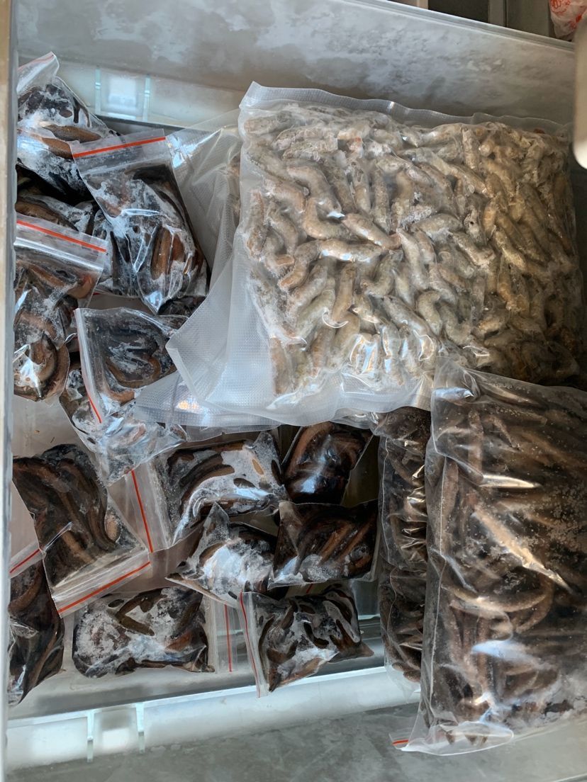 新的擺放增加伊罕小球