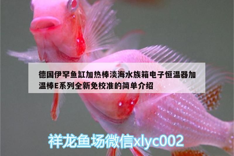 德國伊罕魚缸加熱棒淡海水族箱電子恒溫器加溫棒E系列全新免校準(zhǔn)的簡單介紹 德國伊罕魚缸加熱棒淡海水族箱電子恒溫器加溫棒E系列全新免校準(zhǔn)的簡單介紹 伊罕水族