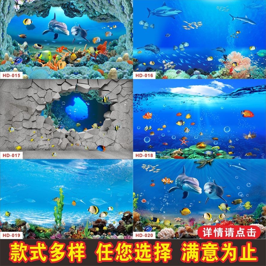 80x80x40魚缸多少斤水：80x80x40魚缸裝滿水時大約有500斤水 80x80x40魚缸多少斤水：80x80x40魚缸裝滿水時大約有500斤水 魚缸百科 第4張