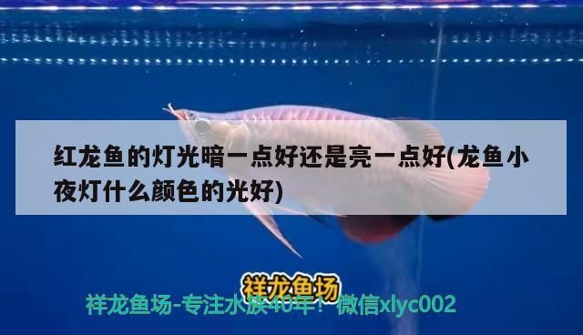 菏澤魚缸廠家電話號碼多少(裝修的木工板回收) 九鼎魚缸 第1張 菏澤魚缸廠家電話號碼多少(裝修的木工板回收) 菏澤魚缸廠家電話號碼多少(裝修的木工板回收) 九鼎魚缸 第1張