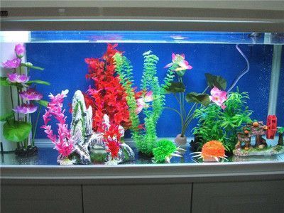 福永哪里有賣魚缸的市場啊圖片（福永哪里有賣魚缸的市場啊圖片及價格）