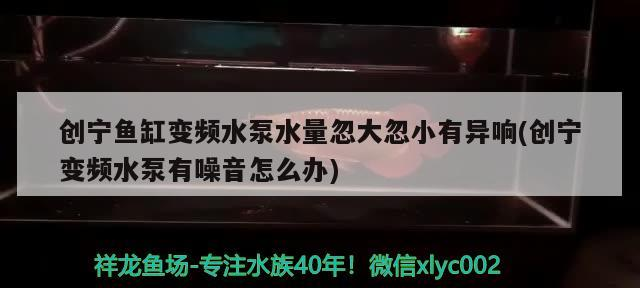 創(chuàng)寧魚缸變頻水泵水量忽大忽小有異響(創(chuàng)寧變頻水泵有噪音怎么辦)