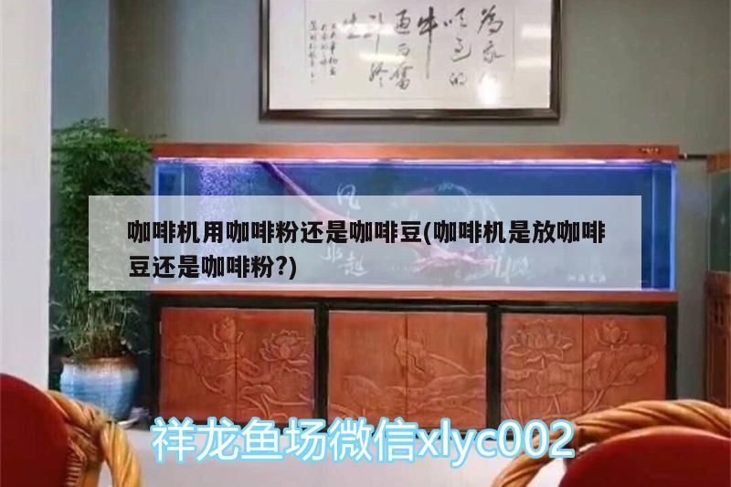 咖啡機用咖啡粉還是咖啡豆(咖啡機是放咖啡豆還是咖啡粉?)