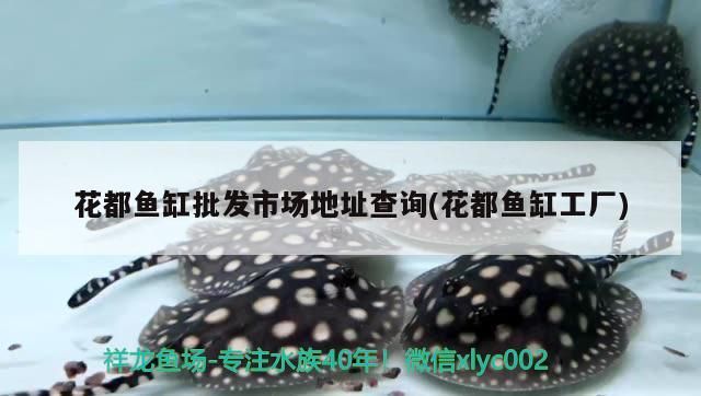 花都魚缸批發市場地址查詢(花都魚缸工廠)