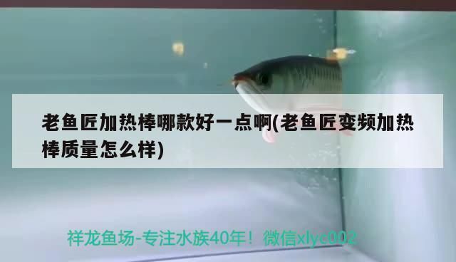老魚匠加熱棒哪款好一點啊(老魚匠變頻加熱棒質(zhì)量怎么樣)