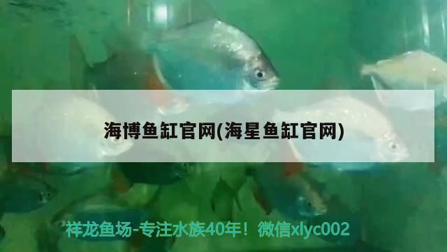 海博魚缸官網(海星魚缸官網)