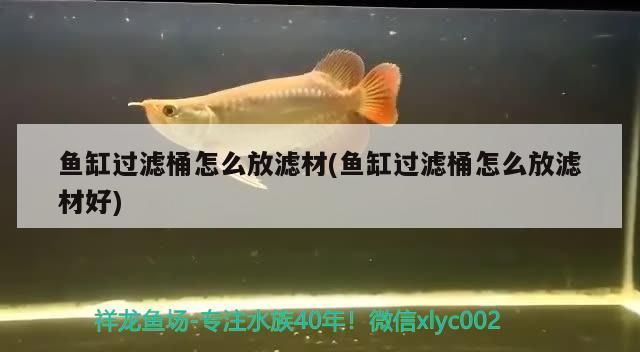 魚缸過濾桶怎么放濾材(魚缸過濾桶怎么放濾材好)