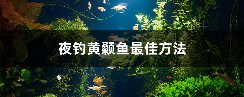 深圳市羅湖區家之福建材市場海峰水源店
