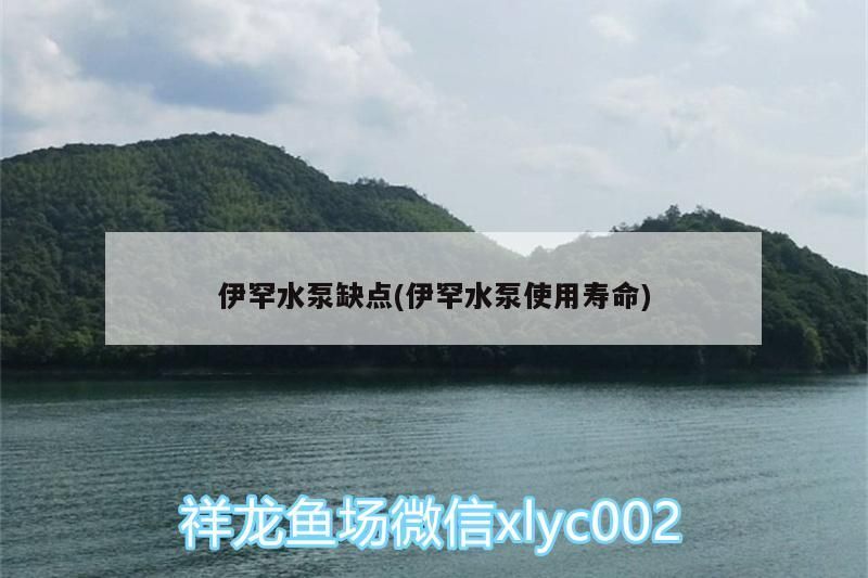 伊罕水泵缺點(伊罕水泵使用壽命) 伊罕水泵缺點(伊罕水泵使用壽命) 伊罕水族