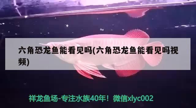 伊罕加熱棒溫度上不去：伊罕加熱棒溫度調亂了