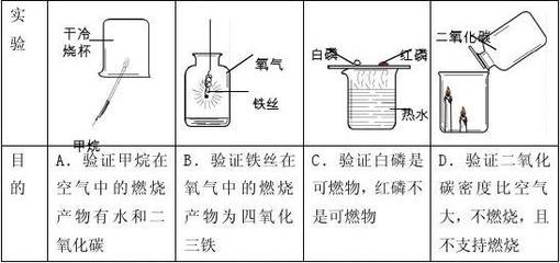 蘋(píng)果螺會(huì)吃魚(yú)的糞便嗎？揭秘水族箱中的清潔工，蘋(píng)果螺會(huì)吃魚(yú)糞嗎？水族箱清潔真相揭秘