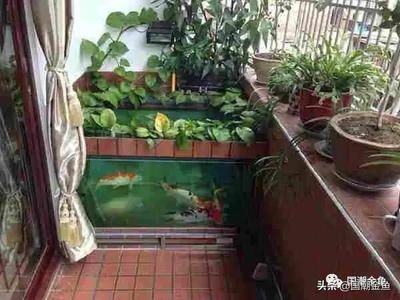 辟邪最猛的四種東西，守護平安的古老智慧，四大最強辟邪之物，守護平安的古老智慧揭秘