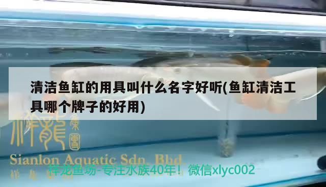 清潔魚缸的用具叫什么名字好聽(魚缸清潔工具哪個牌子的好用)