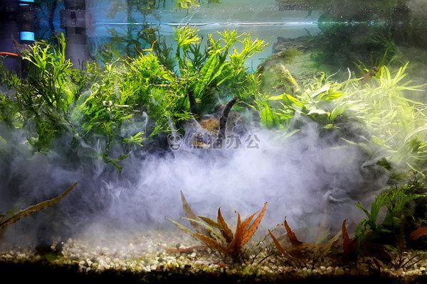 吉印魚缸燈怎么樣好用嗎知乎（吉印魚缸燈怎么樣好用嗎知乎）