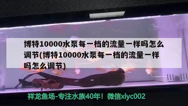 博特10000水泵每一檔的流量一樣嗎怎么調節(博特10000水泵每一檔的流量一樣嗎怎么調節)