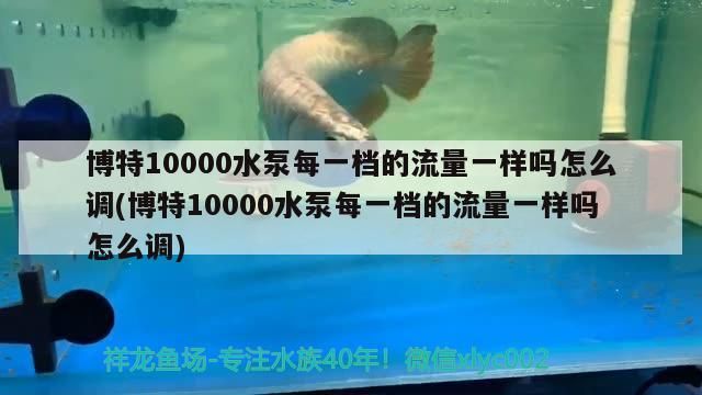 博特10000水泵每一檔的流量一樣嗎怎么調(博特10000水泵每一檔的流量一樣嗎怎么調)