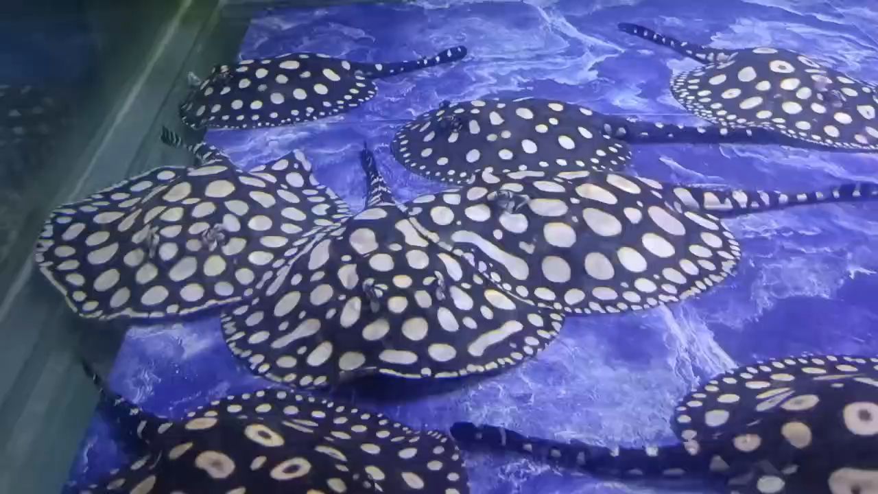 早安，