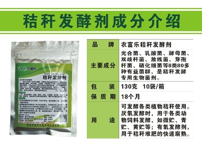 排名第一的鎮宅花—富貴竹的風水奧秘與養護指南，富貴竹，鎮宅旺運的風水奧秘與養護全攻略