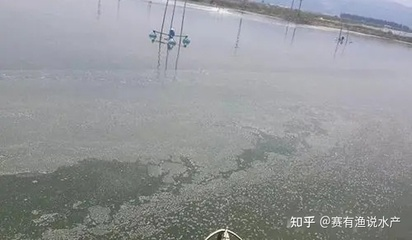 女士用的微信頭像財氣風水最好的選擇指南，女士招財風水微信頭像最佳選擇指南
