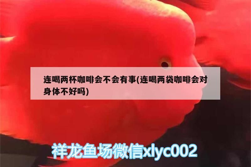 魚缸用增氧泵價格是多少:魚缸增氧機-xtrac增氧機-xtrac增氧機 連喝兩杯咖啡會不會有事(連喝兩袋咖啡會對身體不好嗎) 馬來西亞咖啡 連喝兩杯咖啡會不會有事(連喝兩袋咖啡會對身體不好嗎) 連喝兩杯咖啡會不會有事(連喝兩袋咖啡會對身體不好嗎) 馬來西亞咖啡