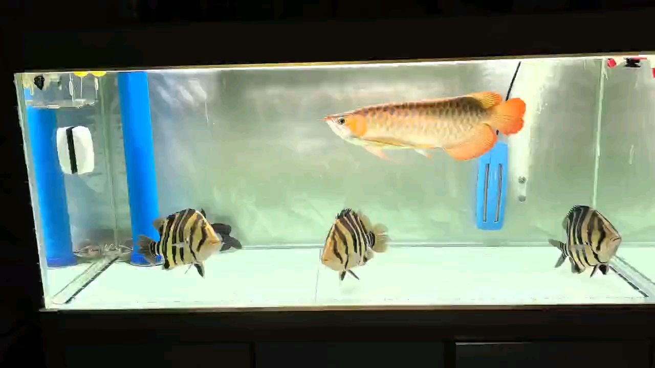 折騰