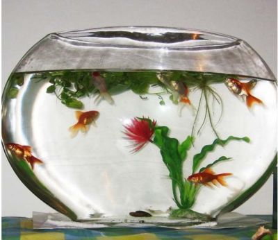 diy魚缸蓋板：diy魚缸蓋板diy魚缸蓋板的制作過程需求和實際制作過程