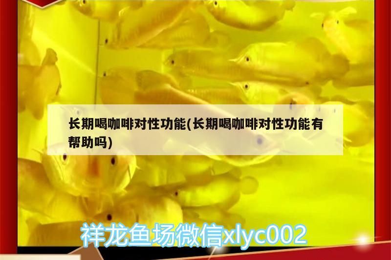 長期喝咖啡對性功能(長期喝咖啡對性功能有幫助嗎)