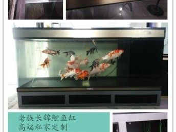 魟魚換缸要注意什么：魟魚換缸的注意事項