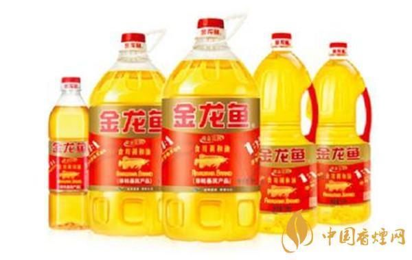 金龍魚的知識（金龍魚知識青年公眾號）