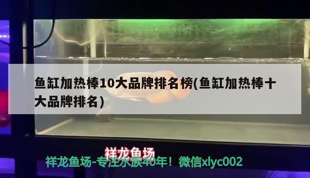 魚缸加熱棒10大品牌排名榜(魚缸加熱棒十大品牌排名)