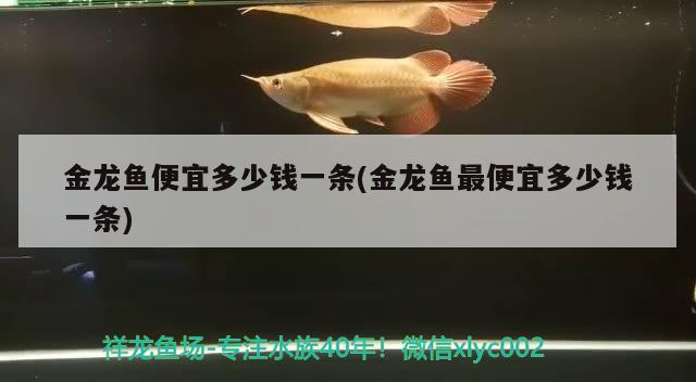 伊罕石英球真假辨別圖片(伊罕石英球效果怎么樣)