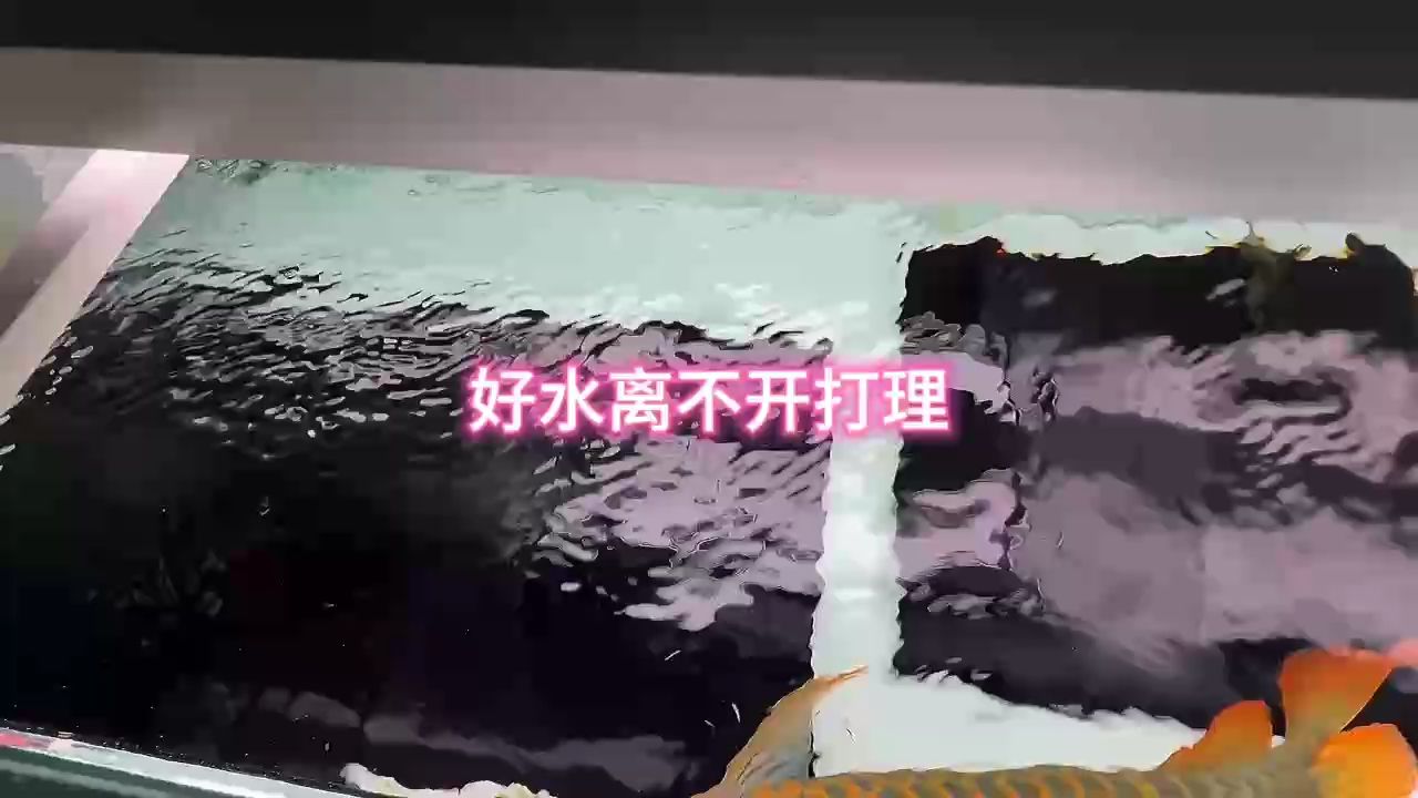好水看著都舒服