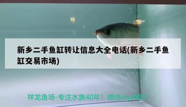 新鄉二手魚缸轉讓信息大全電話(新鄉二手魚缸交易市場)