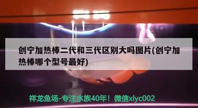 創寧加熱棒二代和三代區別大嗎圖片(創寧加熱棒哪個型號最好)