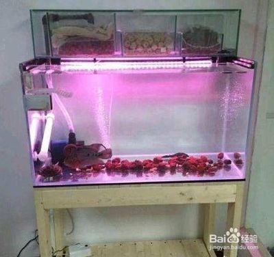 森森60上濾魚缸改造