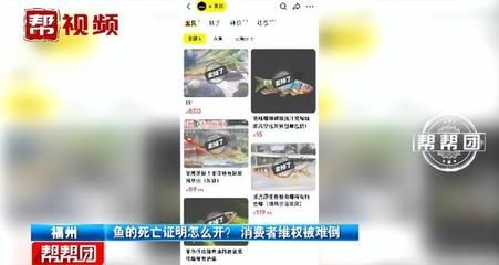 觀賞魚買回來就死了,可以去找老板嗎（觀賞魚的養護誤區） 觀賞魚買回來就死了,可以去找老板嗎（觀賞魚的養護誤區） 博特水族 第3張