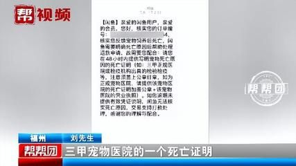 觀賞魚買回來就死了,可以去找老板嗎(觀賞魚的養護誤區) 博特水族 第4張 觀賞魚買回來就死了,可以去找老板嗎(觀賞魚的養護誤區) 觀賞魚買回來就死了,可以去找老板嗎(觀賞魚的養護誤區) 博特水族 第4張