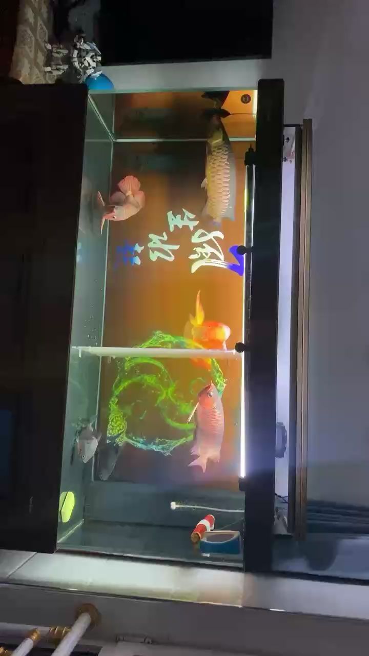 大理白族自治州龍魚養殖基地地址電話號碼（大理白族自治州龍魚養殖基地地址電話號碼）