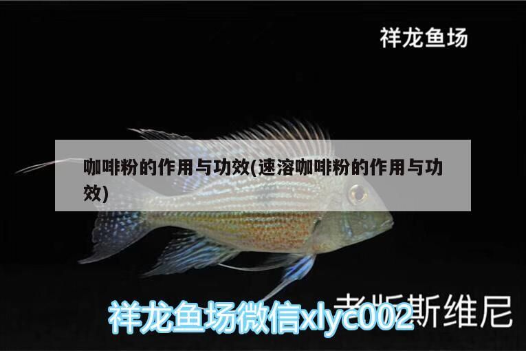 咖啡粉的作用與功效(速溶咖啡粉的作用與功效)
