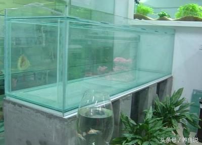 1.8米長0.6米寬0.7米高的魚缸用什么玻璃好呢圖片：1.8米長、0.6米寬、0.7米高的魚缸應該用哪種玻璃
