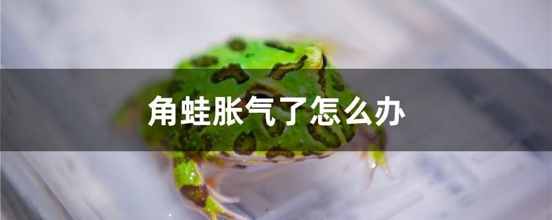 鄭州市鄭東新區福鑫源魚缸店