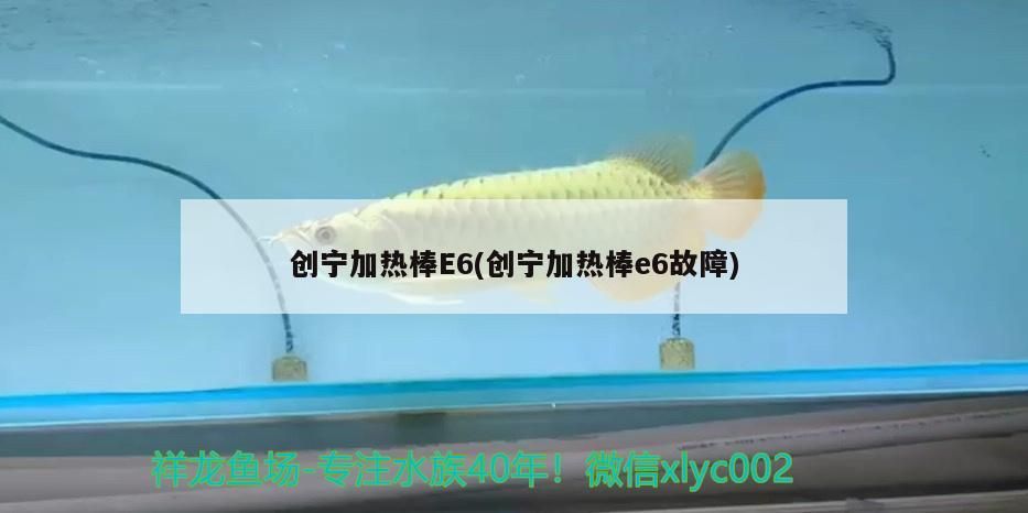 創寧加熱棒E6(創寧加熱棒e6故障)