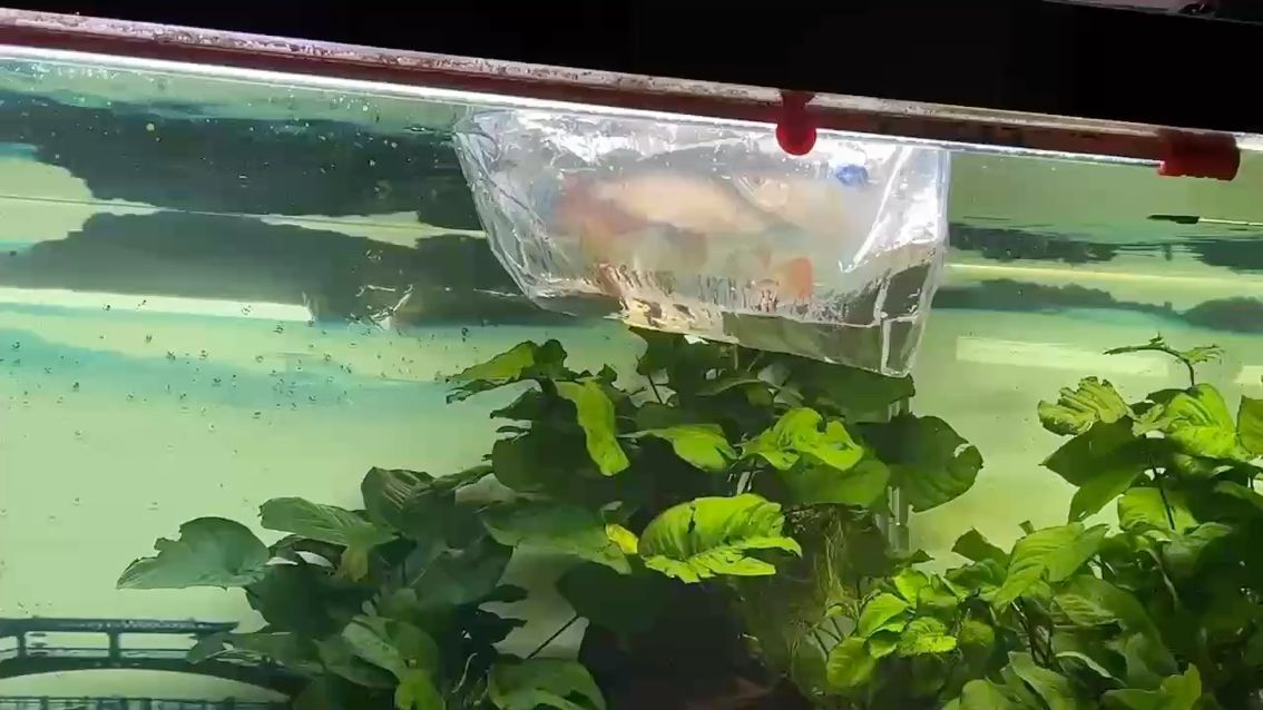 被干死也不會心疼系列。膽大心也大。