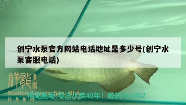 創寧水泵官方網站電話地址是多少號(創寧水泵客服電話)