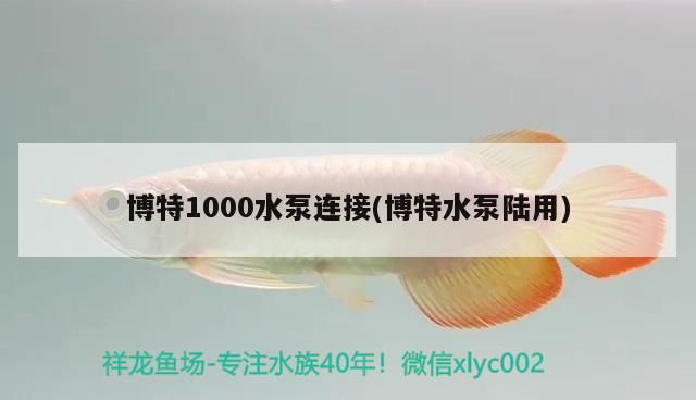 博特1000水泵連接(博特水泵陸用)