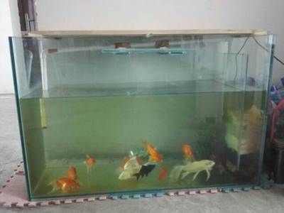 450的魚缸多少升：450魚缸的規格450魚缸是多少升