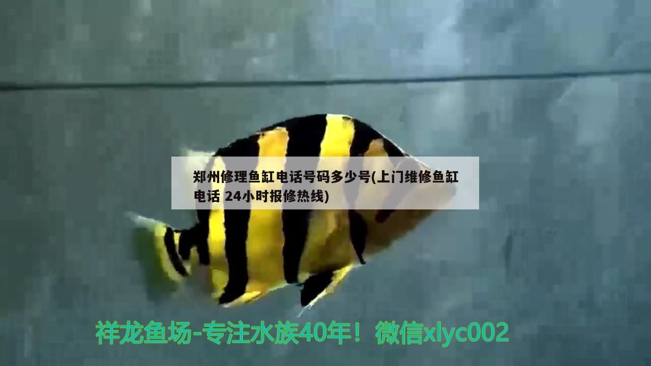 鄭州修理魚缸電話號碼多少號(上門維修魚缸電話24小時報修熱線)